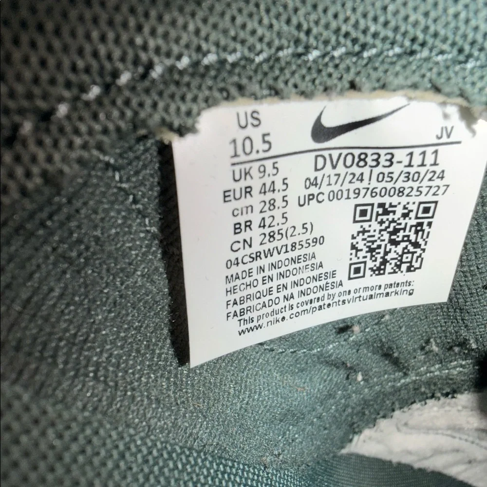 Nike dunk Low size 10.5